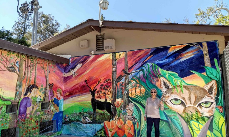Santa Clara and Sunnyvale artists will be featured in Silicon Valley Visual Arts' Open Studio program sharing their work alongside other artists.