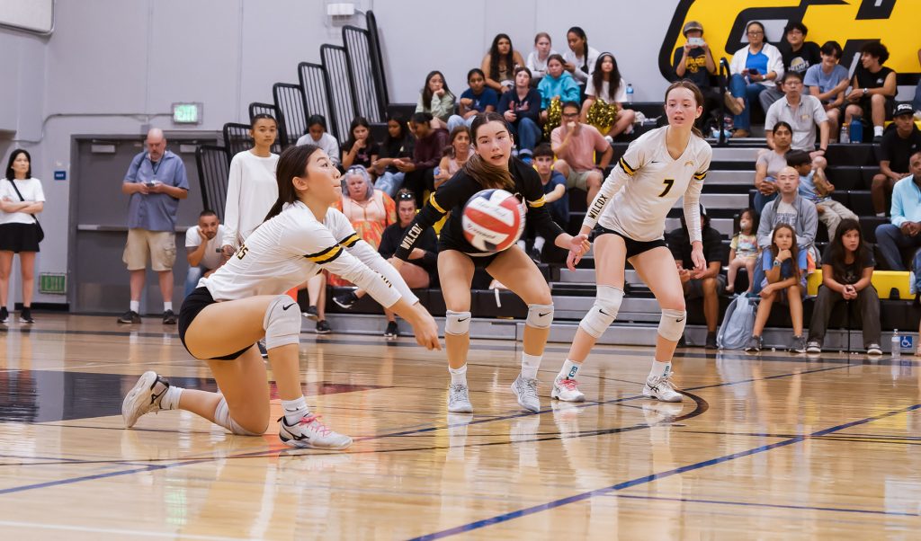 The Wilcox Chargers beat the Lions in four sets on Sept. 3 thanks to a 12-0 service run by Kelsey Mock and strong hitting by Hanako Stone.