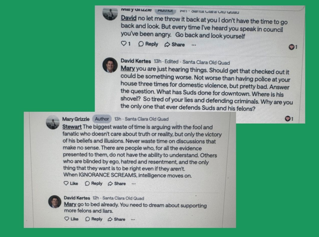 Fmr. council candidate Kertes has sent a cease & desist letter to community advocate Mary Grizzle after she posted her opinion on NextDoor.
