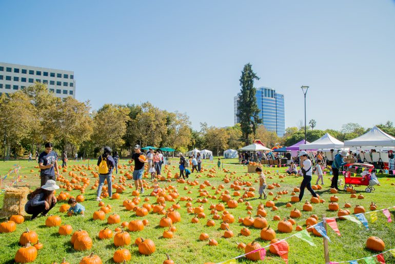 Pumpkins in the Park — 10 a.m. – 4 p.m. at Discovery Meadow in Downtown San José (180 Woz Way, San Jose)