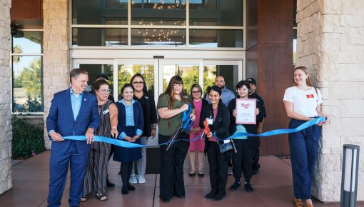 Friendly Accessibility in the Silicon Valley