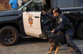 Santa Clara K9 Dog Retires