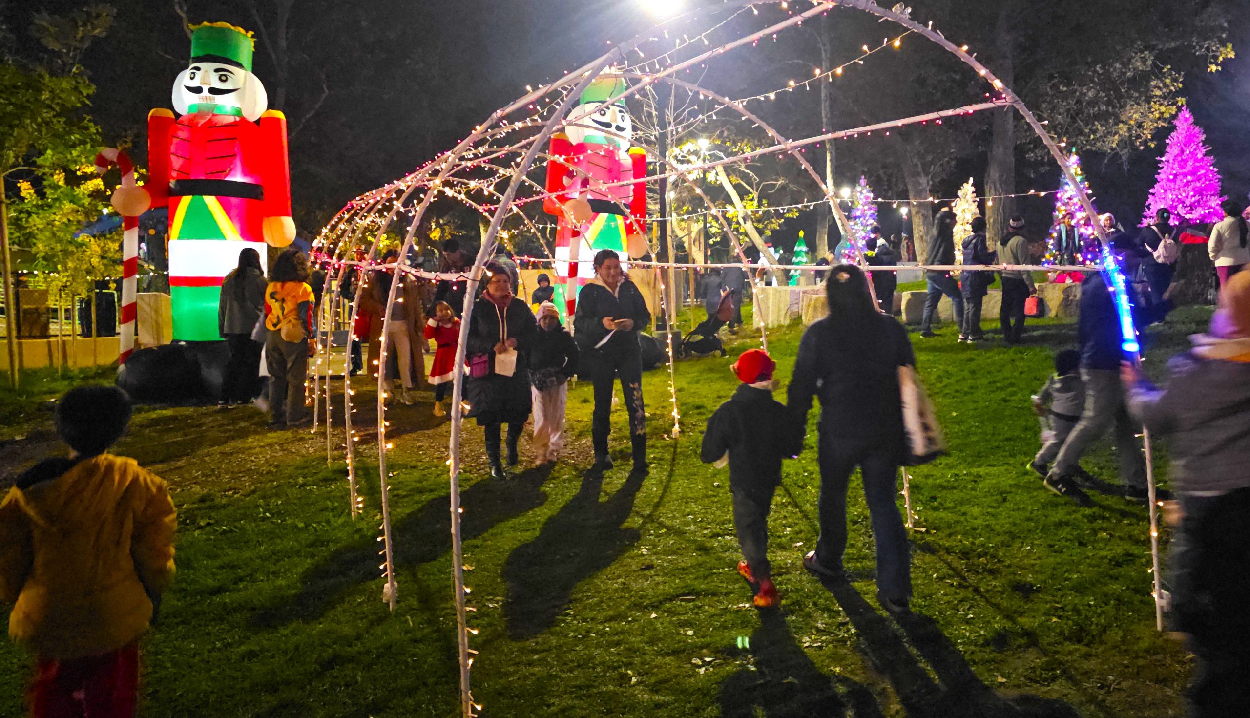 For the 114th year, Santa Clara lit the tree at Central Park, kicking off the holiday season for the hundreds of people in attendance.