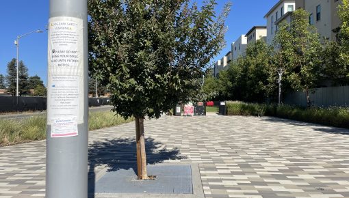 Santa Clara’s Dog Park is Still Closed After More Than Four Months