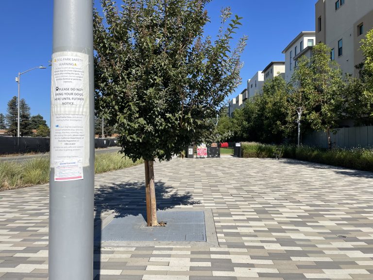 Santa Clara’s Dog Park is Still Closed After More Than Four Months