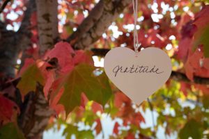Milestones – With Gratitude – Opinion