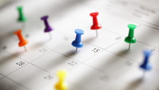 This Weekend in the Valley: Friday, January 30 – Sunday, February 1