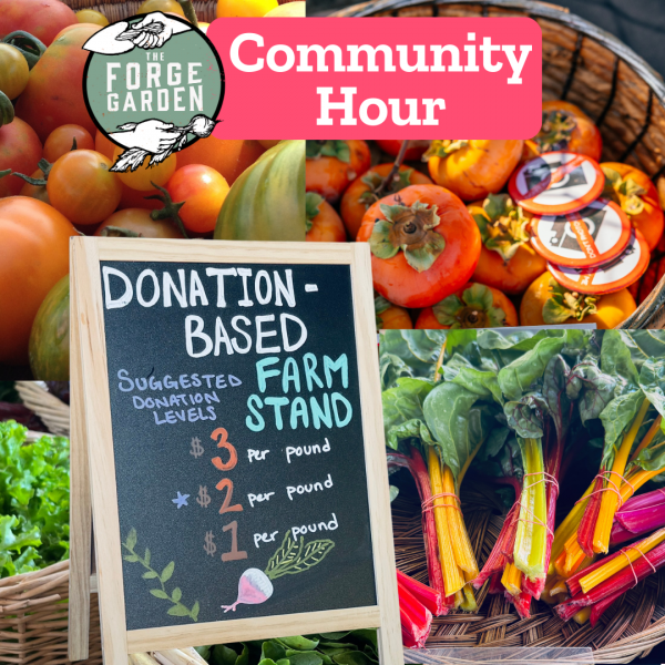 Farm Stand — Student Hour: 11:30 a.m. – 12:30 p.m., Community Hour: 12:30 p.m. – 1:30 p.m. at Santa Clara University’s The Forge Garden
The Forge Farm Stand provides affordable, Certified Organic produce grown in our ½ acre garden. The Farm Stand is a sliding scale and donation-based. This means you pay what you can afford.