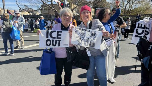 Viral Super Bowl ICE Protest Towels Created by Seahawks Fan