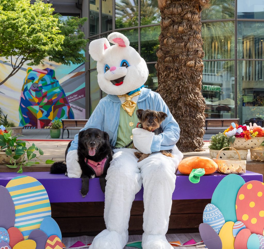 Bunny Paws — 10 a.m. – 2 p.m. at Santana Row’s Park Valencia (San Jose)

Easter Bunny photos with your pet are a minimum donation of $10 to the Humane Society Silicon Valley