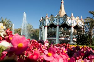 Great America Celebrates 50 Years, Future Still Uncertain