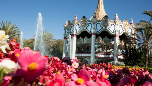 Great America Celebrates 50 Years, Future Still Uncertain