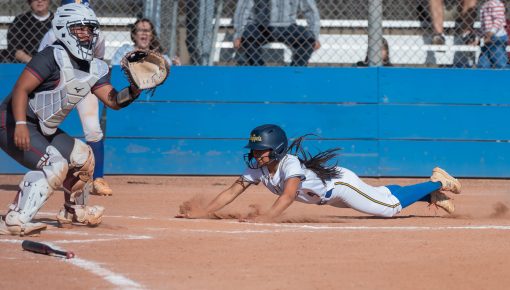 Inside the Park Home Run Propels Bruins to Revenge Win Over Firebirds