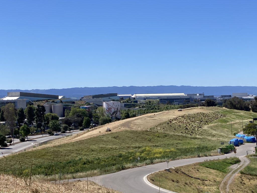 The City of Sunnyvale renewed its contract with Goats R Us to help manage the vegetation at the Sunnyvale Landfill.