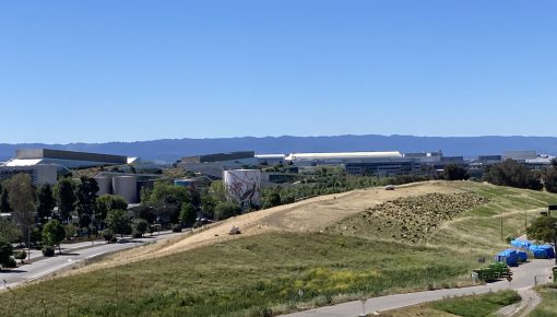 Goats R Us Keeps Sunnyvale Landfill Green — That’s No New Trick