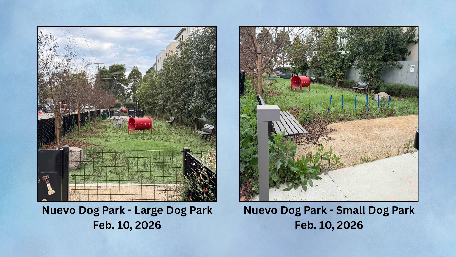 Santa Clara reopened Jenny Strand dog park after poison was discovered there in early May, but it still has not reopened Nuevo Dog park.
