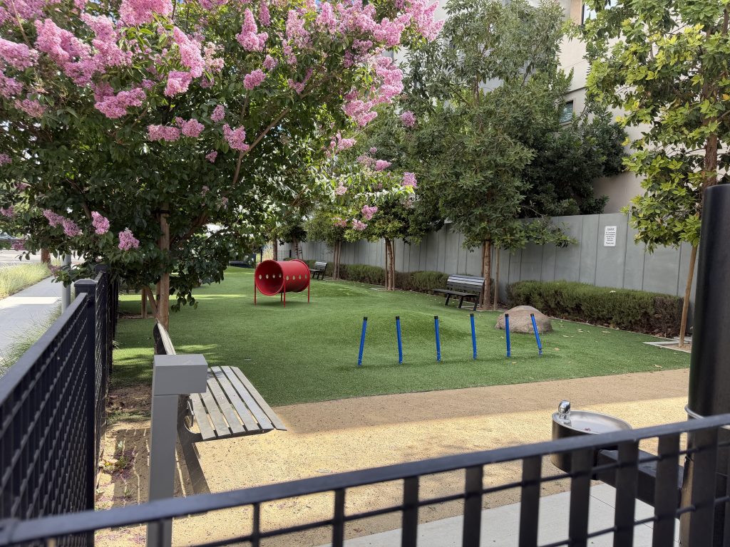 Santa Clara's environmental report found no toxins at Nuevo Dog Park, so the city reopened the park on June 12.