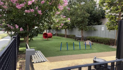 Nuevo Dog Park Clear of Toxins, City Reopens