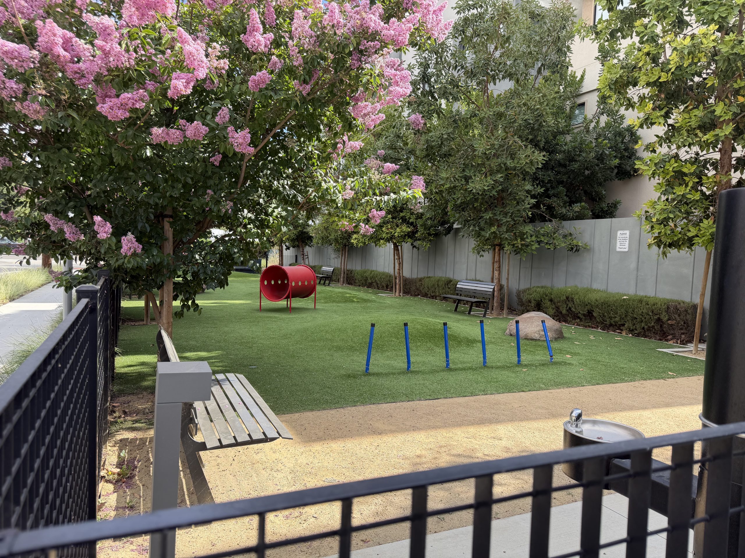 Santa Clara's environmental report found no toxins at Nuevo Dog Park, so the city reopened the park on June 12.