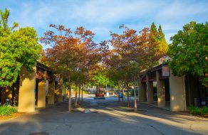 De Anza College has teamed with Tesla to train engineering technicians for their manufacturing jobs. The first cohort started July 20.