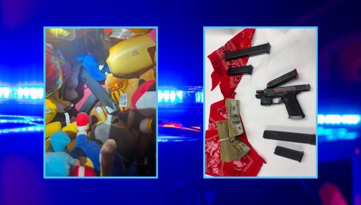 SCPD Arrest Two Men for Stealing Rare Pokémon Cards 