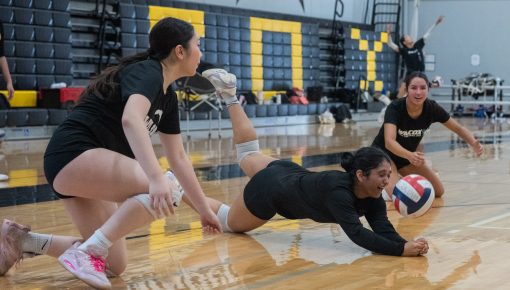 Wilcox Volleyball Set to Dig in for Another Strong Season 