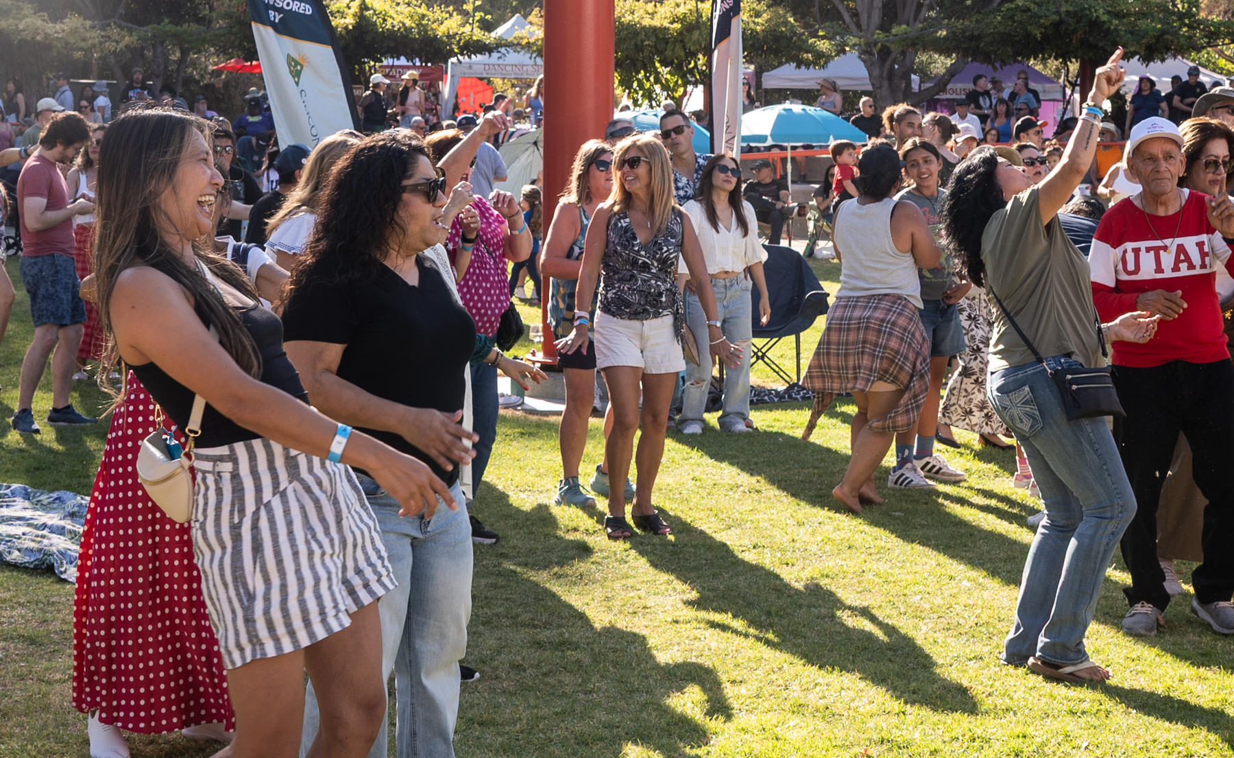 Tens of thousands turned out for the annual Santa Clara Art and Wine Festival at Central Park, a major fundraiser for local nonprofits.