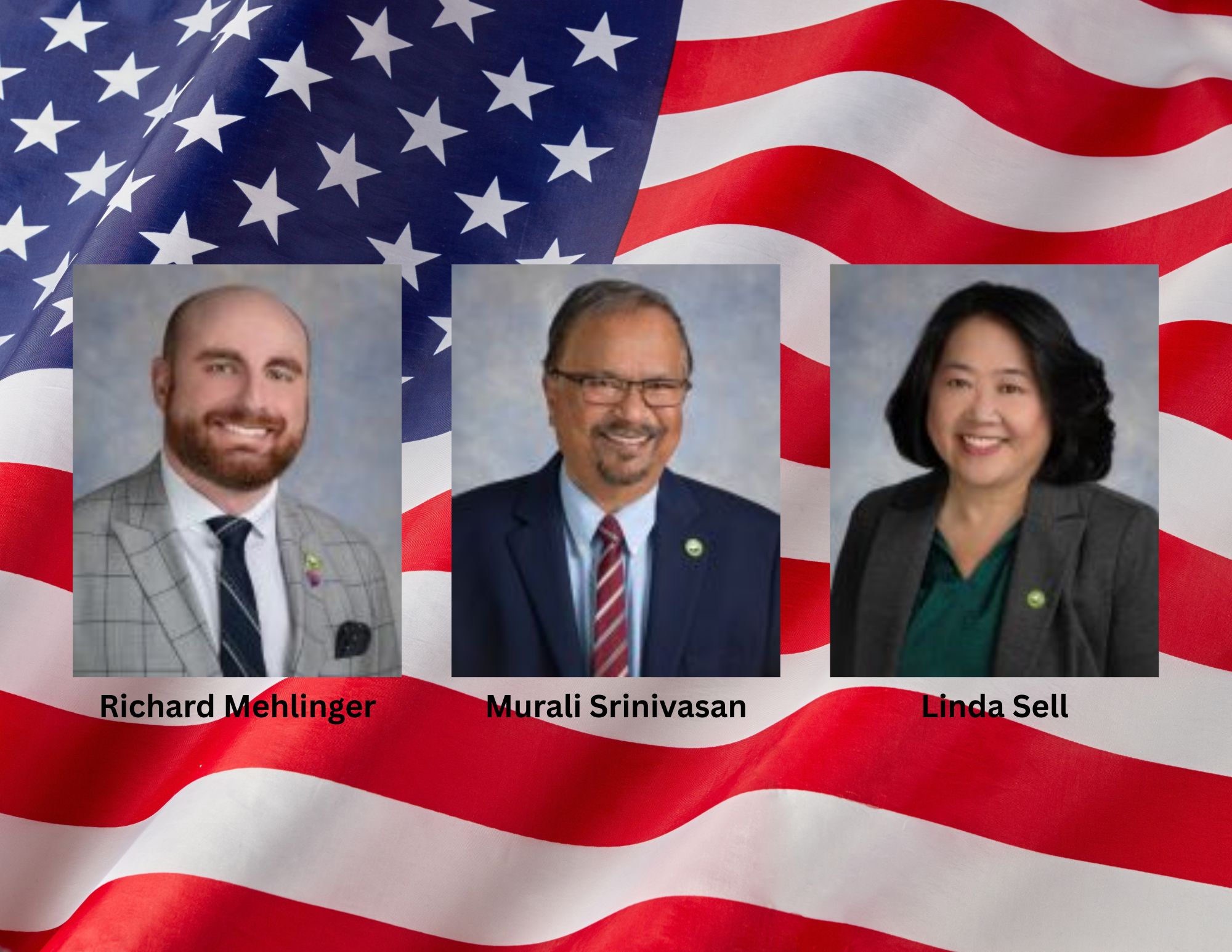 Sunnyvale City Council Members Linda Sell, Murali Srinivasan and Richard Mehlinger are running for re-election unopposed this November.
