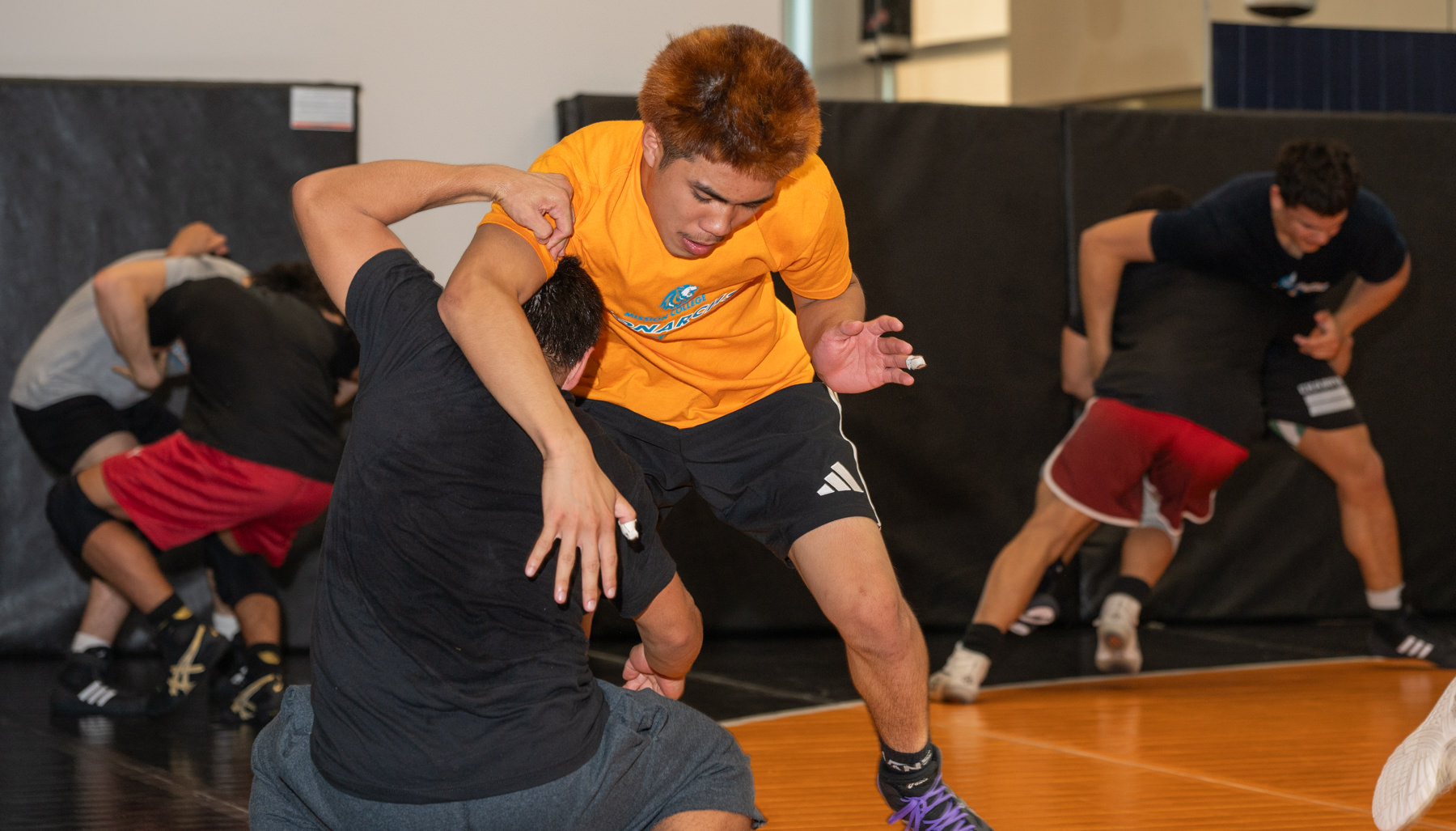 Mission College has launched the school's first wrestling program with Dustin Kirk leading the way as the team's head coach.
